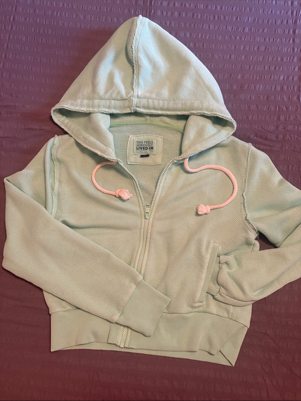American Eagle Outfitters Mint Hoodie.